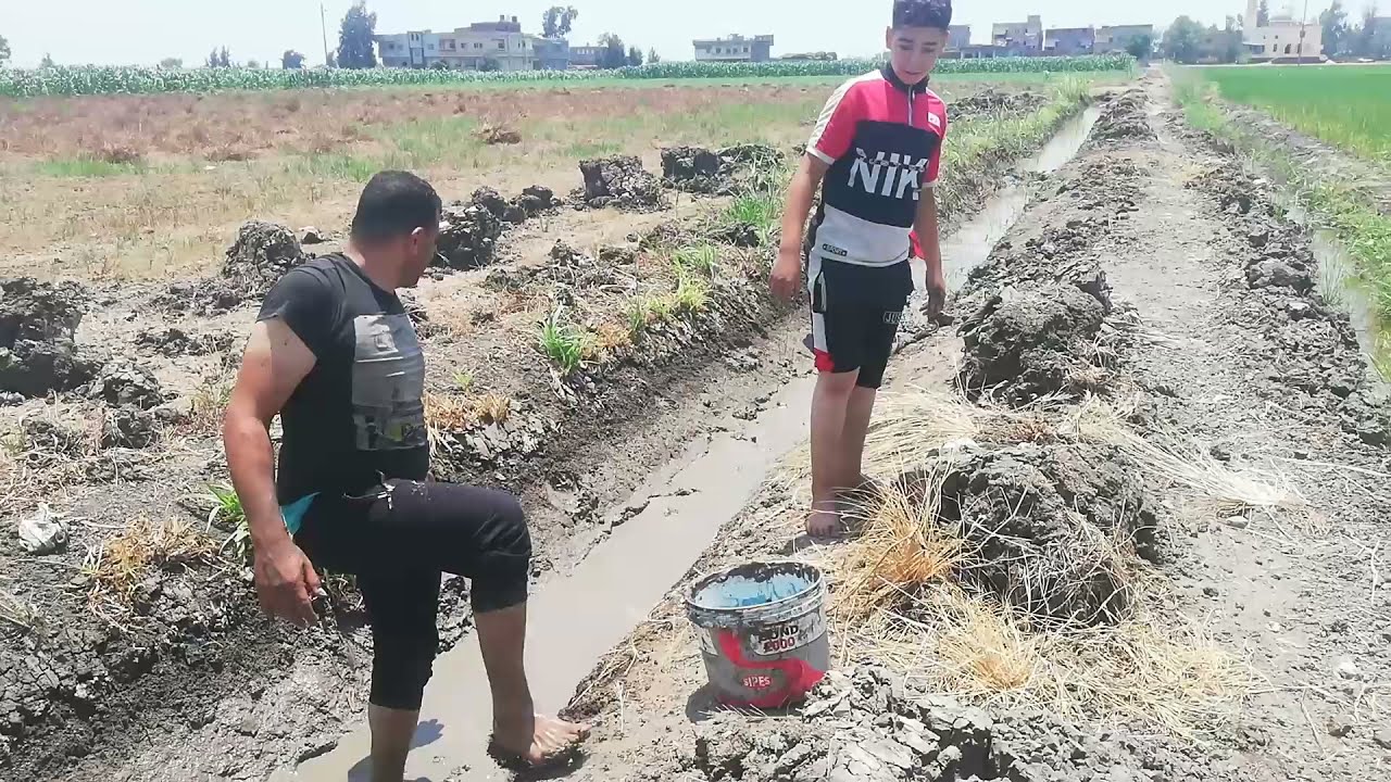 كيف تصطاد السمك والقراميط من الأراضي الزراعيه بطريقه سهله