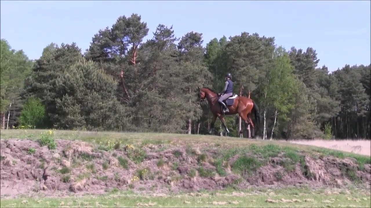 Dionex in der Heide 2025