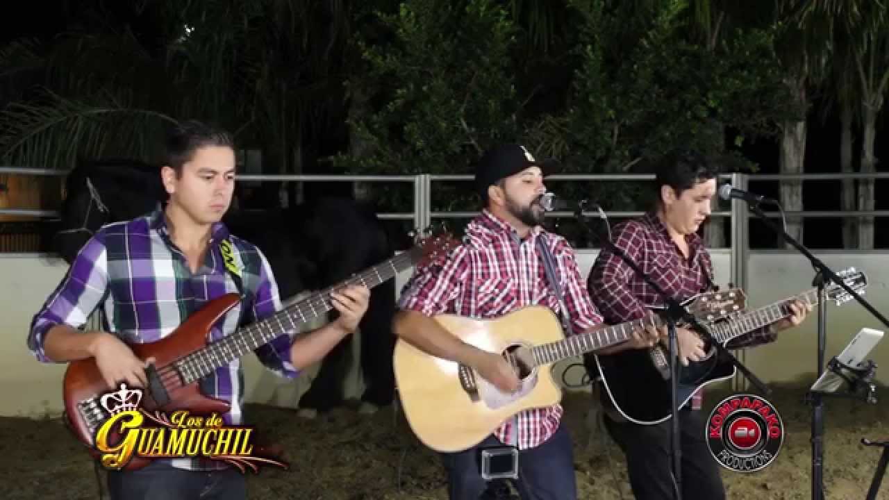 Los De Guamuchil -Tema Prohibido [Inedita En Vivo] Corridos 2015