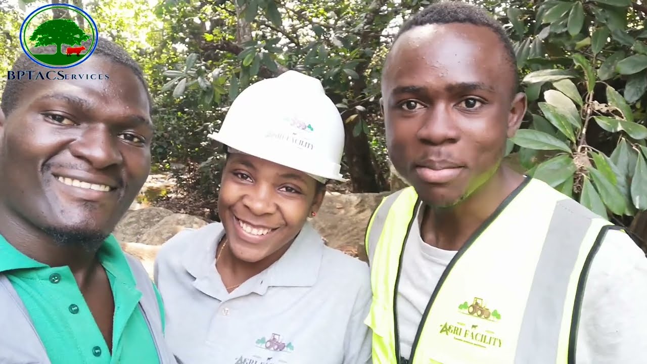 #Instalation de 10ha d'avocatier avec BPTACServices