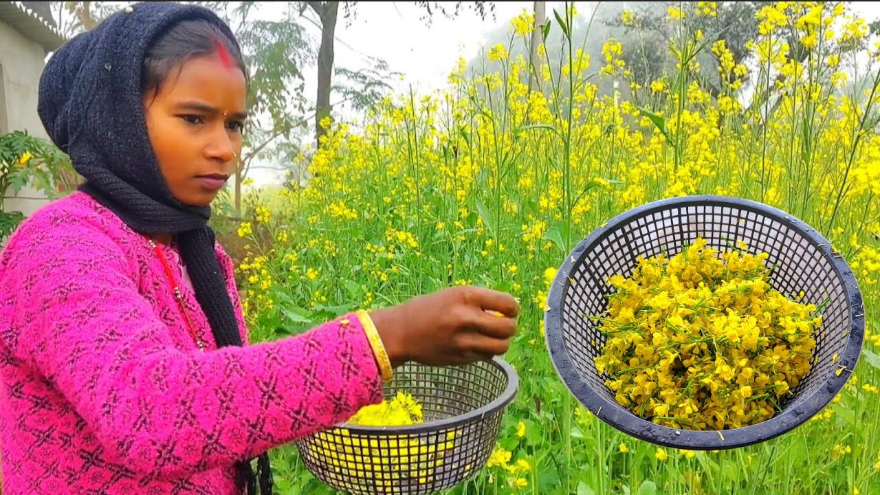 SARSO FLOWERS RECIPE || my village special New Helthy Sabji || Potato with sarso Mix very Delicious