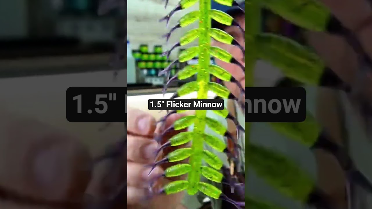 1.5