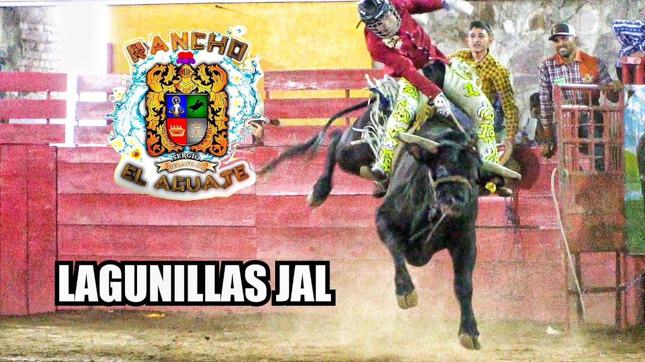 ¡ESTA PODRIA SER LA MEJOR MONTA DEL AÑO! RANCHO EL AGUAJE ESTRENANDO TOROS EN LAGUNILLAS JAL 2026