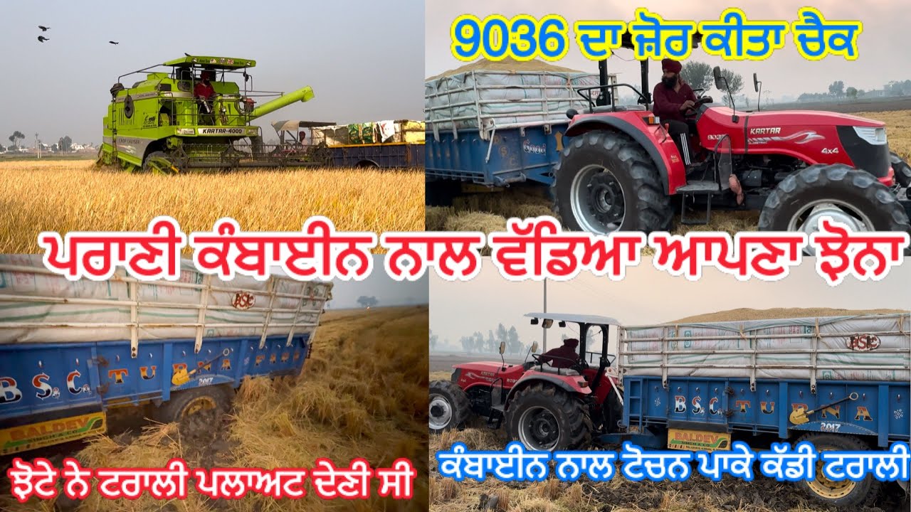ਝੋਨੇ 🌾ਦਾ ਕੰਮ ਕਰਤਾ ਖਤਮ // ਝੋਟੇ ਦਾ ਜ਼ੋਰ ਕੀਤਾ ਚੈਕ // ਬੱਚ ਗਈ ਟਰਾਲੀ ਪੱਲਟਣ ਤੋਂ // ਕੰਬਾਈਨ ਨਾਲ ਪਉਣਾਂ ਪਿਆ ,?