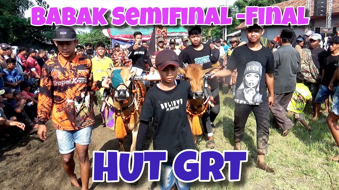 BABAK SEMIDINAL DAN FINAL KERAPAN SAPI HUT GRT