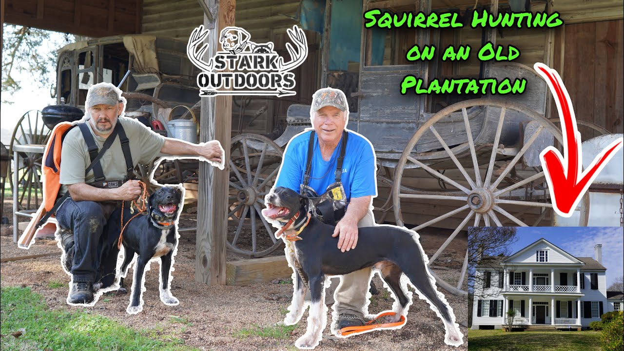Squirrel Hunting on and Old Plantation
