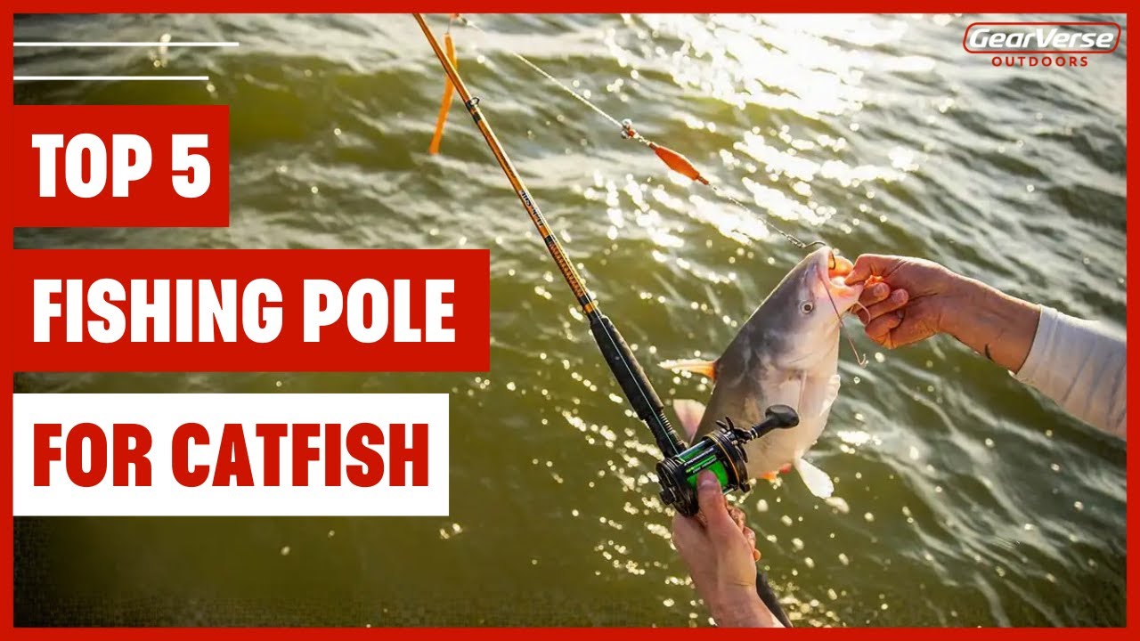 Top 5 Best Fishing Poles for Catfish 2025 🎣| Strong, Durable & Perfect for Big Fish!