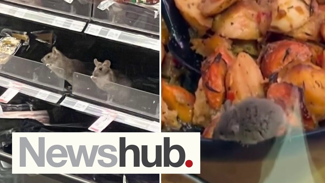Oh rats! Shock as rodent spotted in ANOTHER Countdown store | Newshub