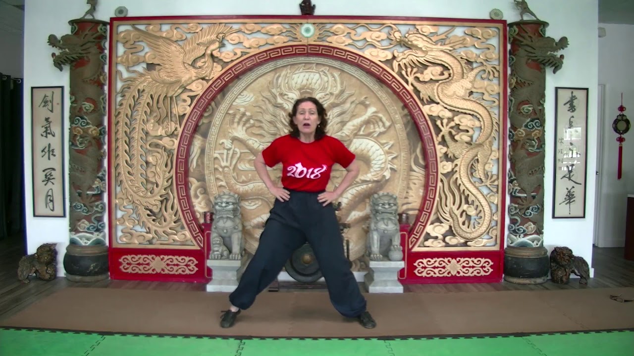Tai Chi Practice - Snake Creeps Down