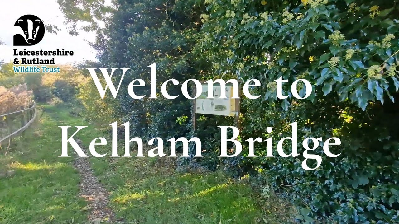 Kelham Bridge Nature Reserve - no music
