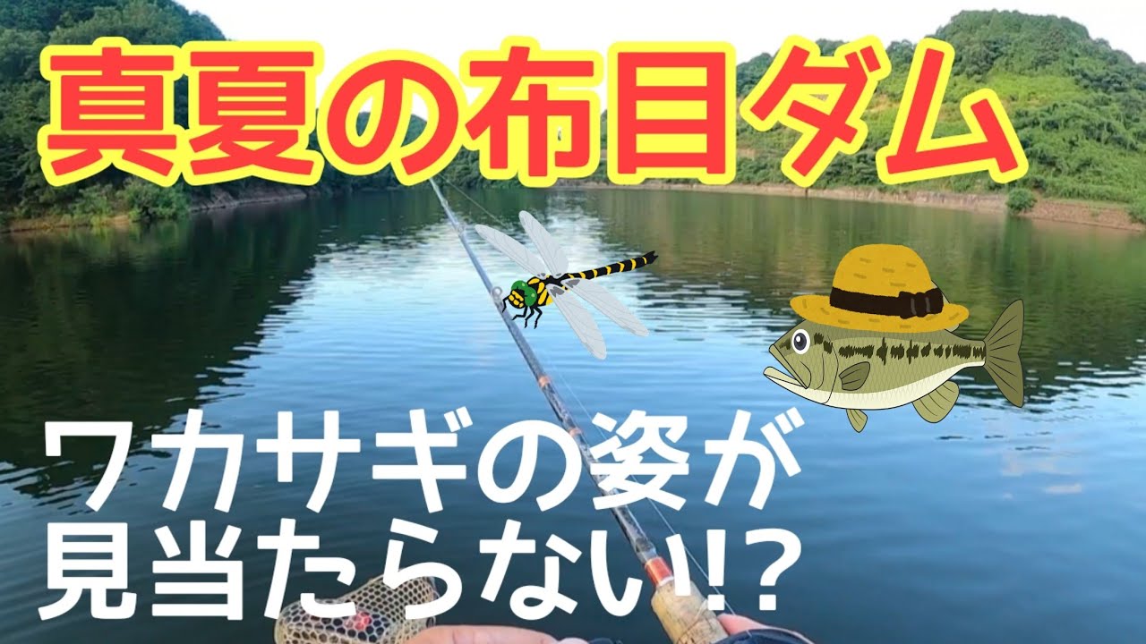 布目ダム ワカサギが消えた！炎天下どうやって釣ろう？
