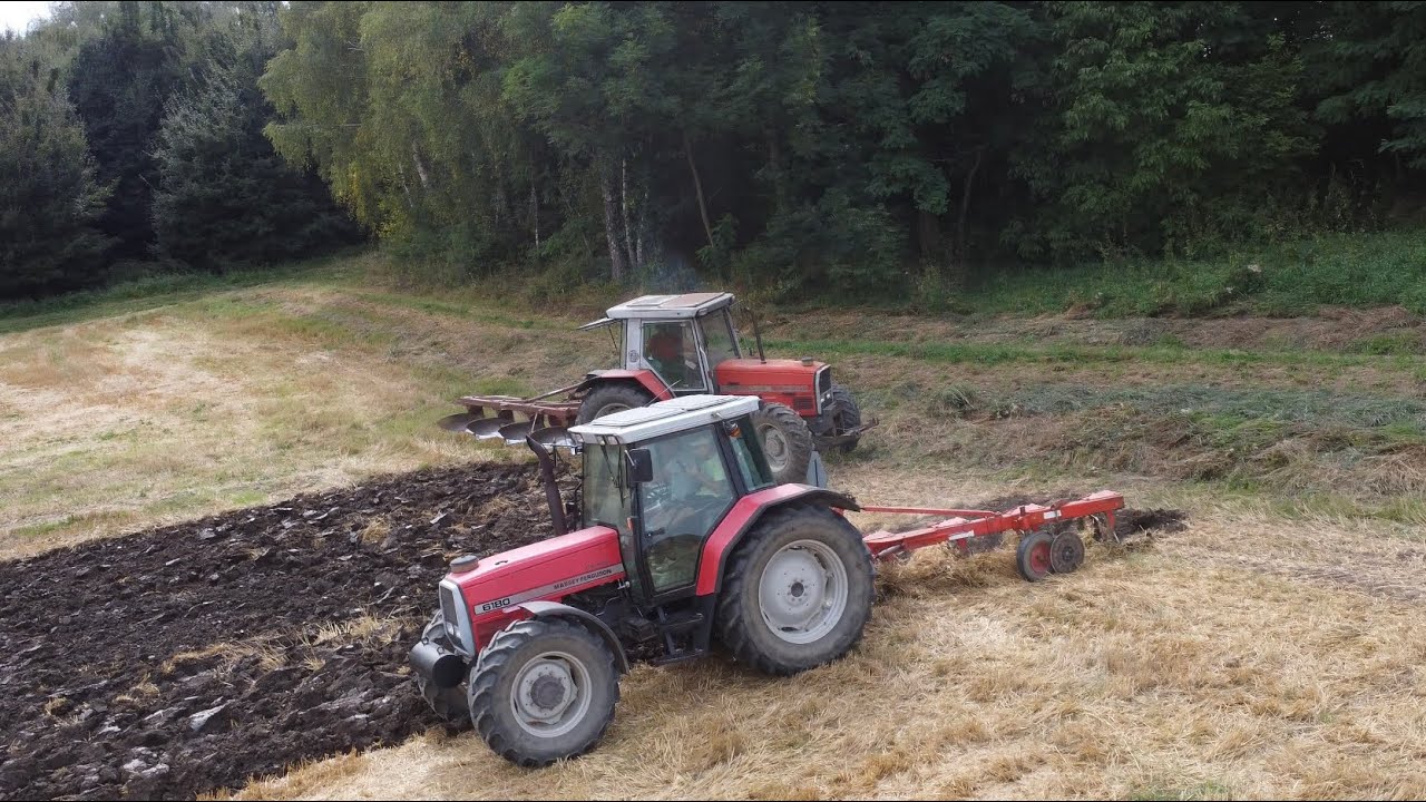 Orka pod rzepak Massey Ferguson 6180 i 3115!!!