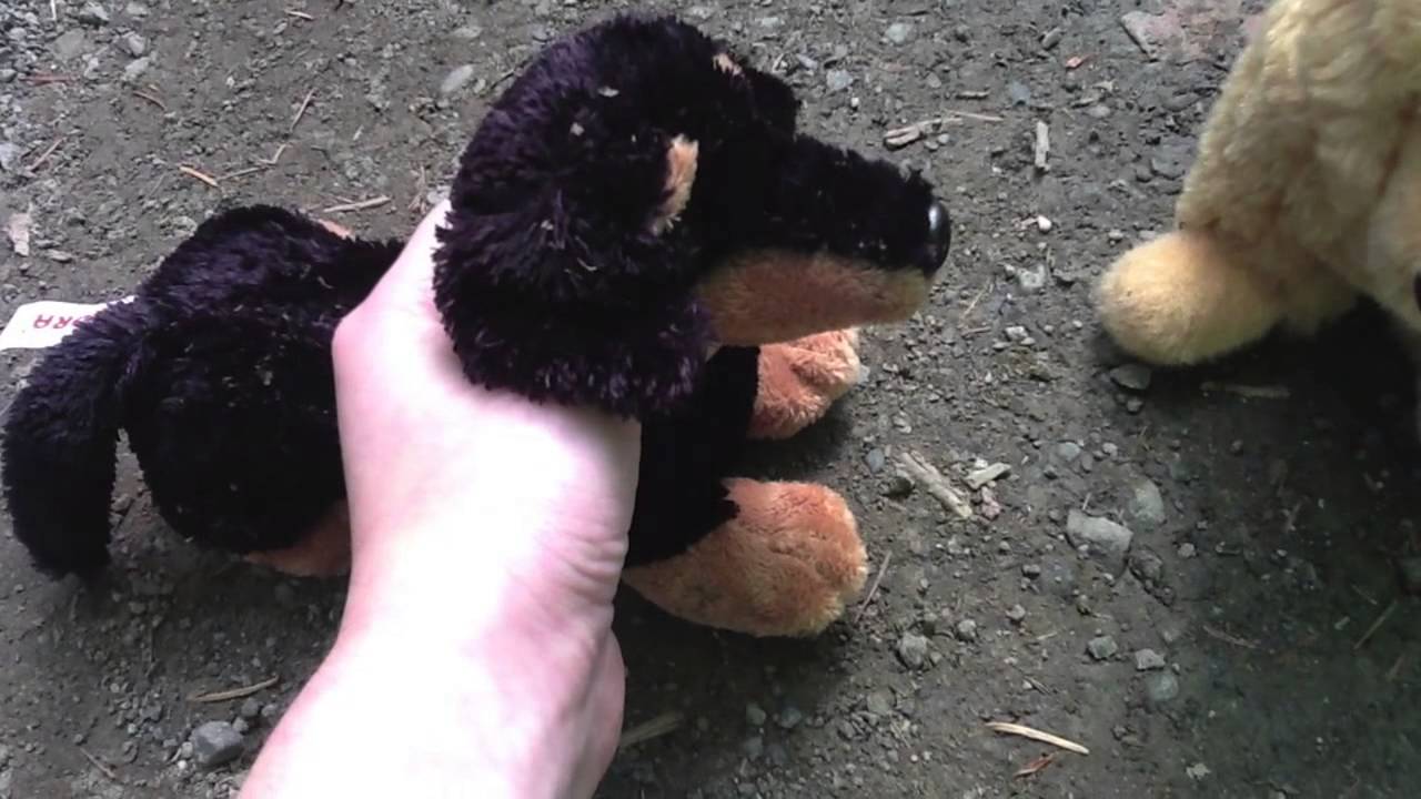 Fight for Survival Part 1 (A Stuffed Animal Movie)