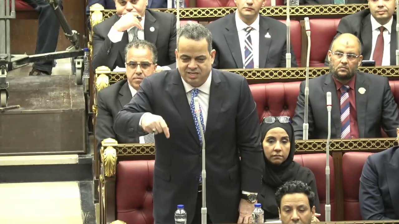 علاج الامراض السرطانيه وقرارات العلاج علي نفقة الدوله النائب عصام هلال عفيفي 