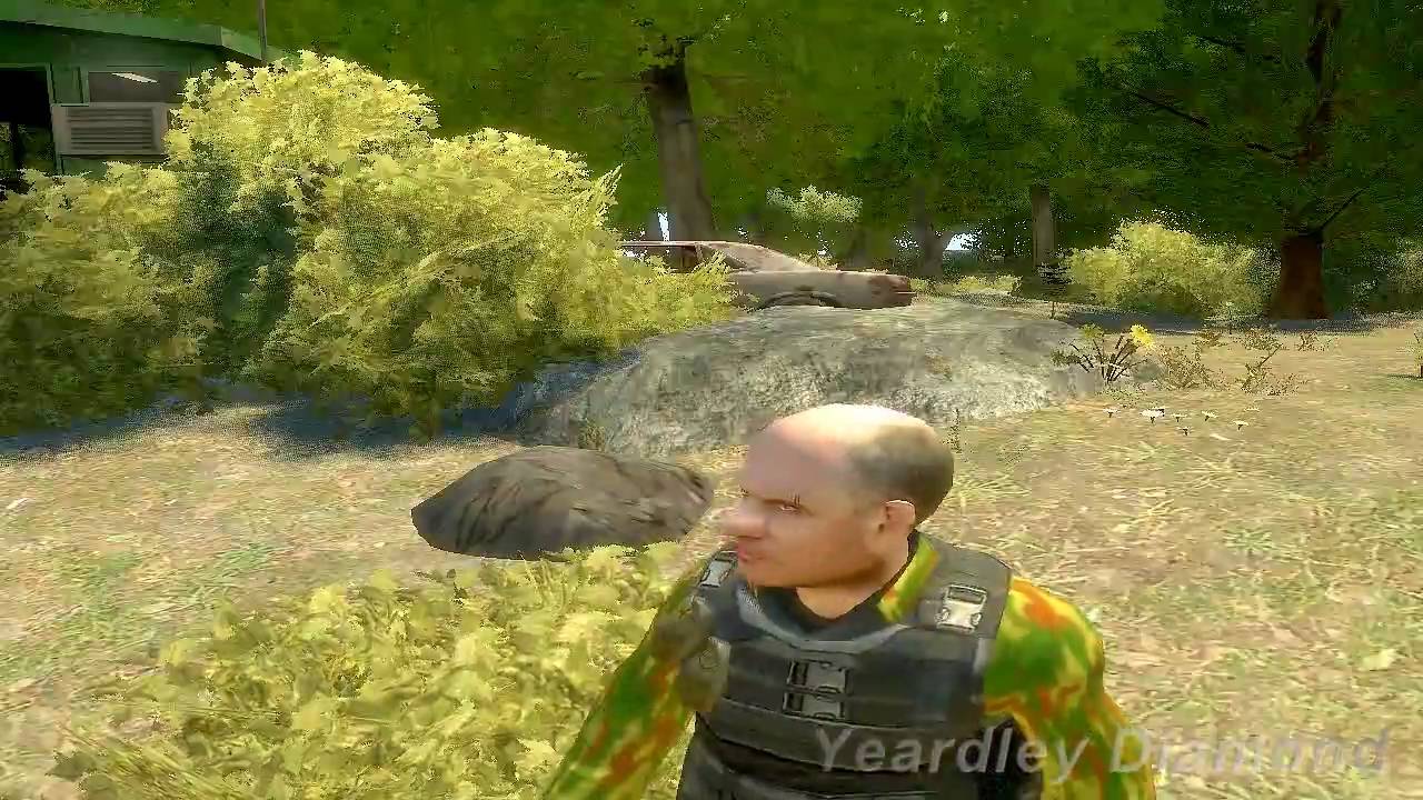 Grand Theft Auto IV: The Ballad of Gay Bernie part 2/?