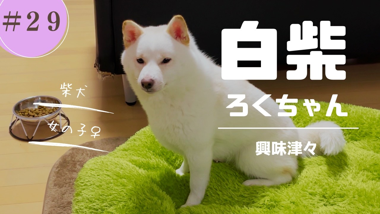 興味津々