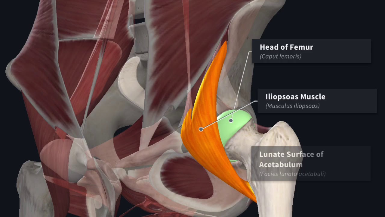Instructional Glutes and Legs