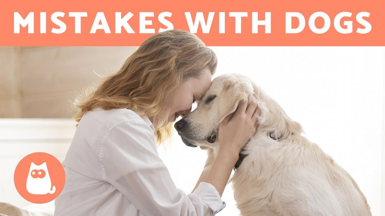15 MISTAKES You're MAKING with Your DOG 🐶 (And You Didn't Know!)