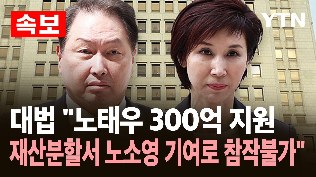 [속보] 대법, 최태원·노소영 '세기의 이혼' 소송 일부 파기 / YTN