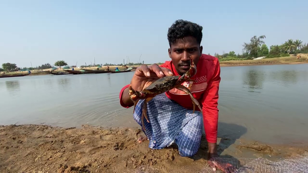 Big Size River crab catching my costing //Crabs Fish fishing .#kekeda #kankada #crab 