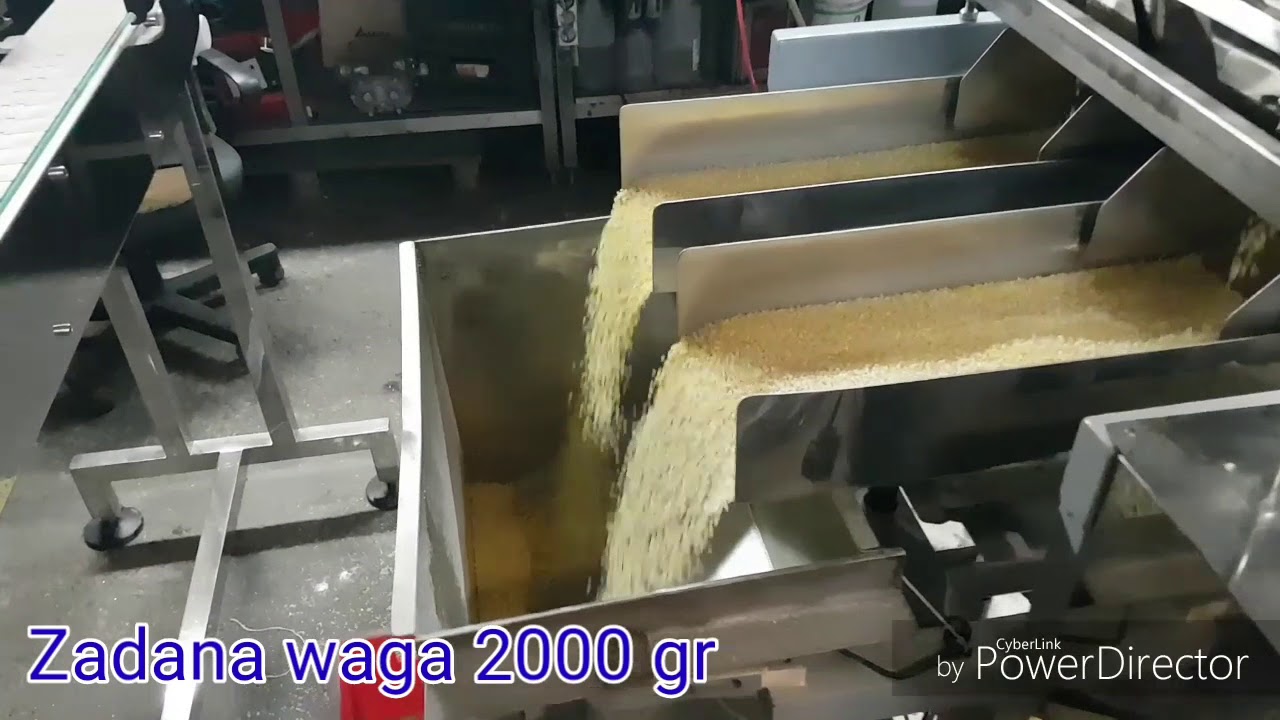 Dozownik wagowy DWW1-GM , bułka tarta, przyprawy, nasiona, zborze... PAK-TREND PRODUKT POLSKI