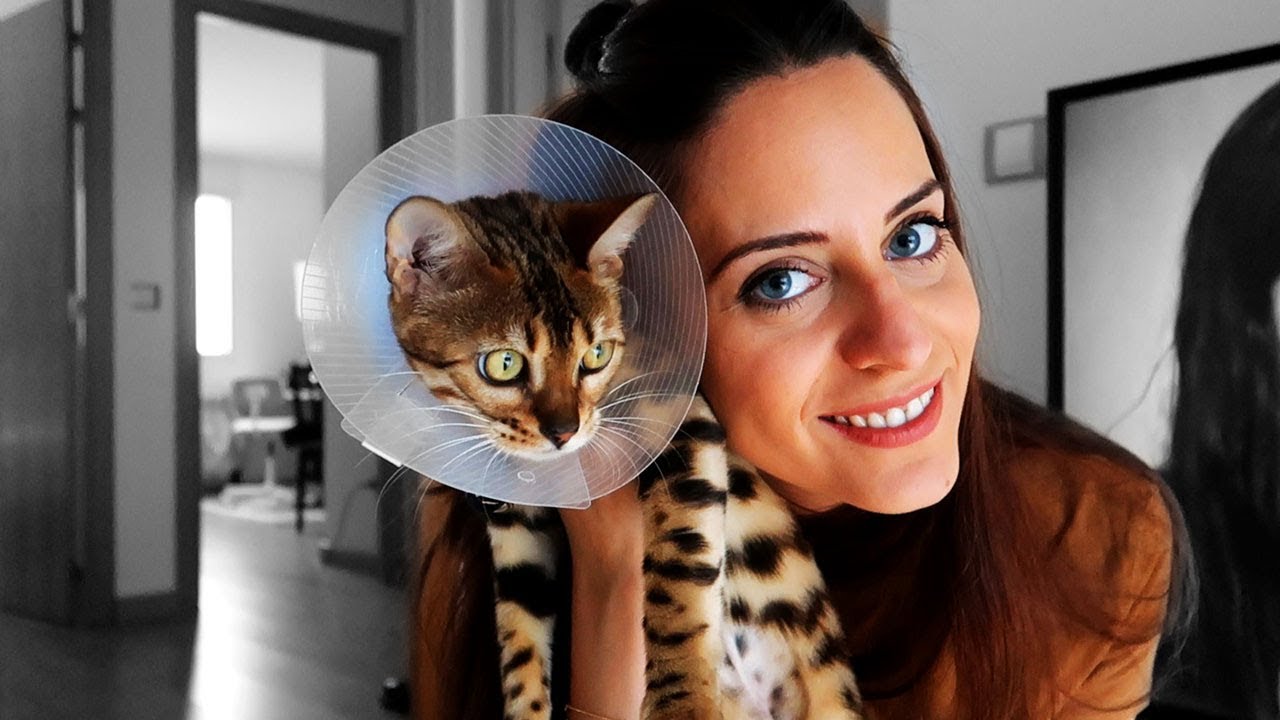 SHIVA DESPUES DE 10 DIAS OPERADA