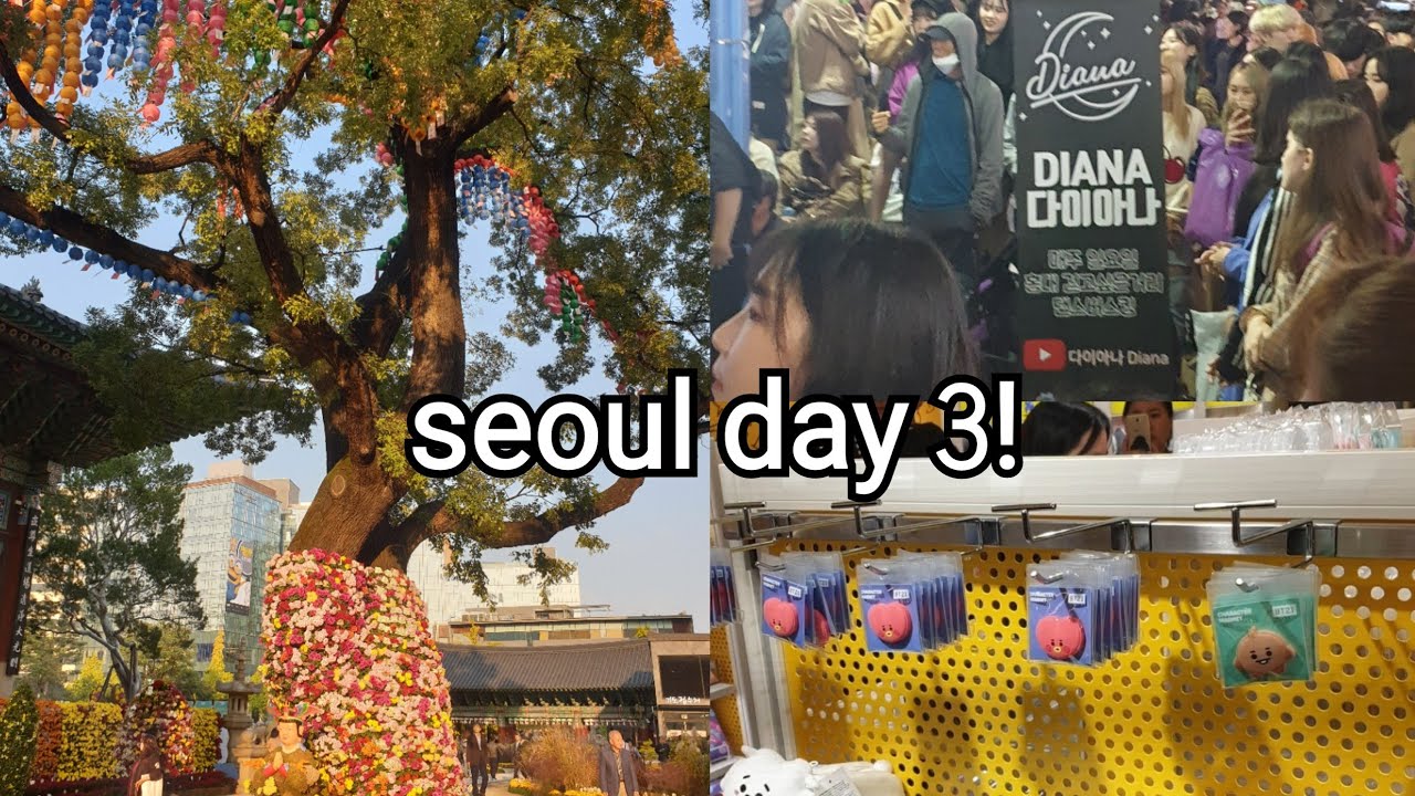 buskers in hongdae, a dog cafe & jogyesa temple || korea vlog ➂