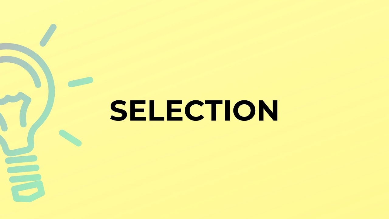 What is the meaning of the word SELECTION?