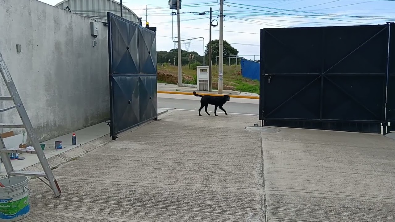 Portón eléctrico, con accionador hidráulico de SEG.