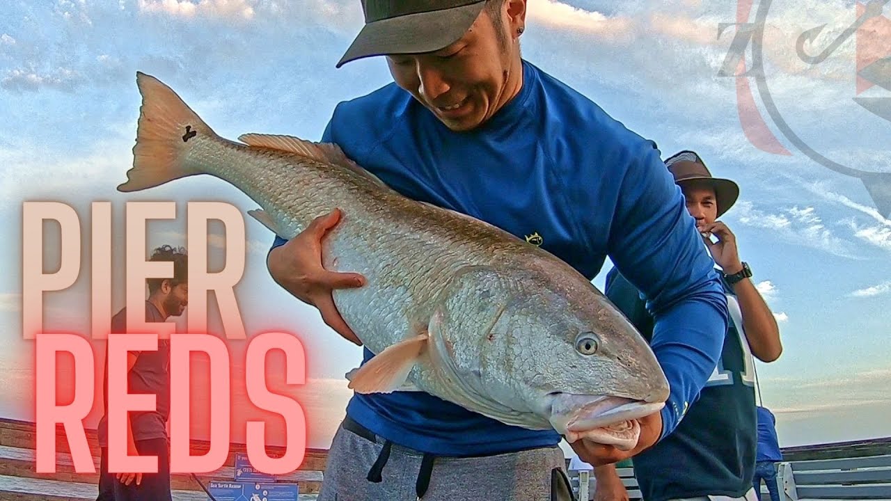 Big REDS at Virginia Beach!!! (Drum Season is Upon Us!)