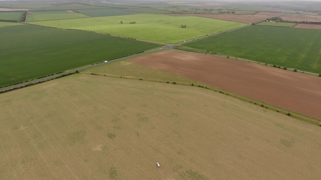 Hare coursers