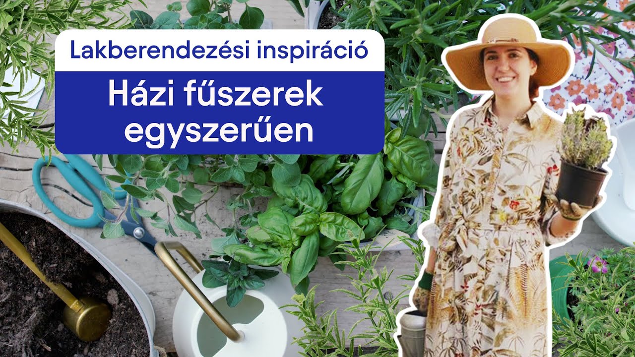 Saját fűszernövények termesztése 🌱 Fűszerkert az erkélyen, teraszon | Biano