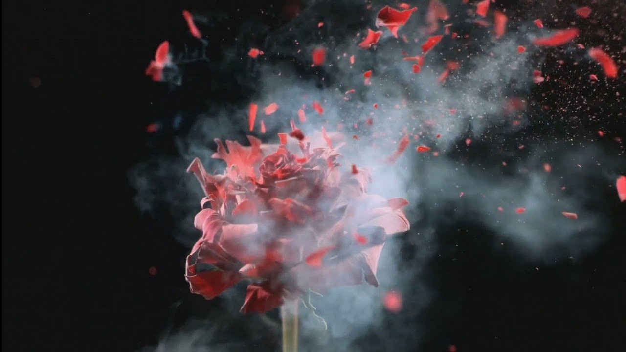 Symphonic Metal Journey with Epic Visual Storyboard: Inspired from Nightwish (Floor & Tarja)
