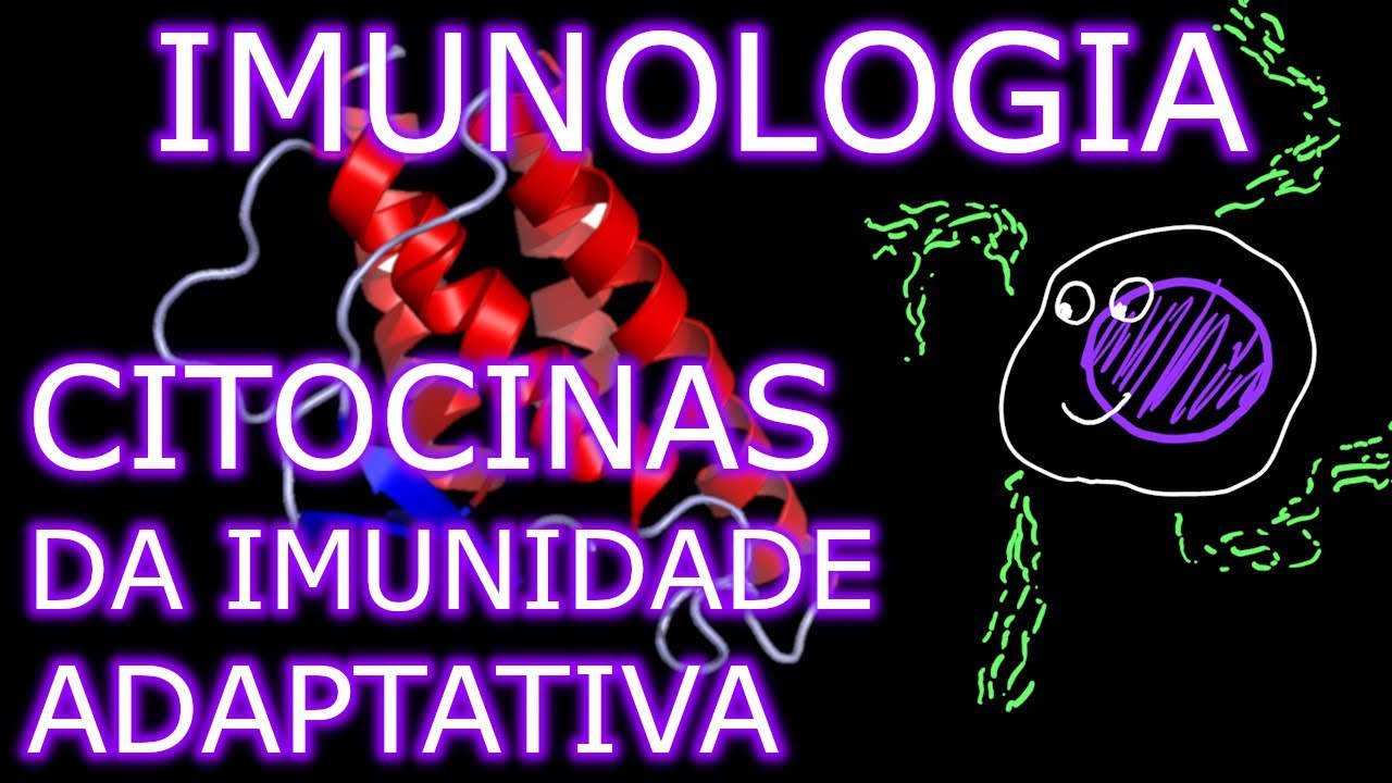 Aula: Imunologia - Citocinas da Imunidade Adaptativa (3/3) | Imunologia #11