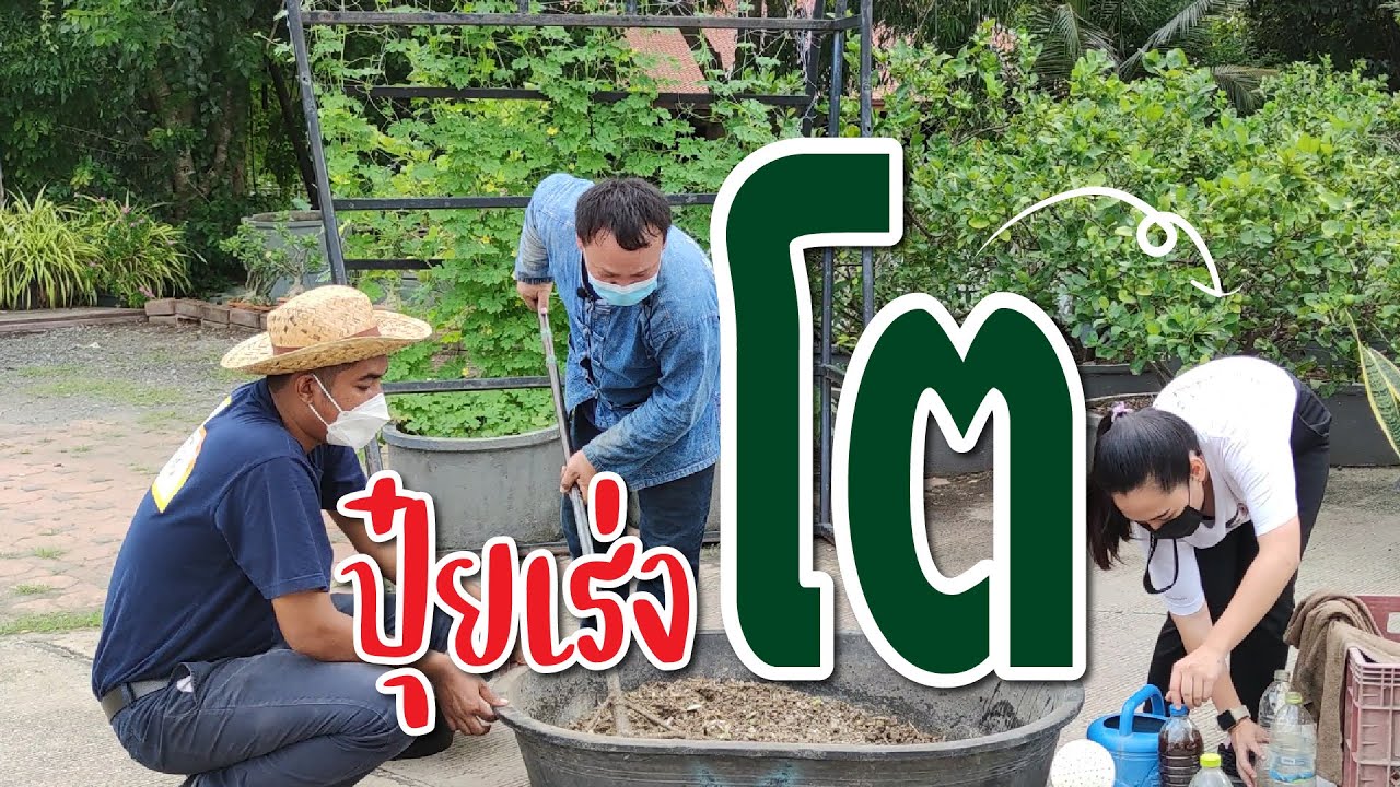 เกษตรออนไลน์ By พิพิธภัณฑ์เกษตรฯ l ปุ๋ยเร่งโต