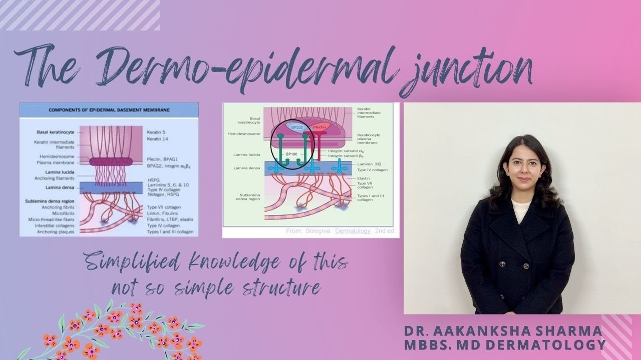 The Dermo-epidermal junction