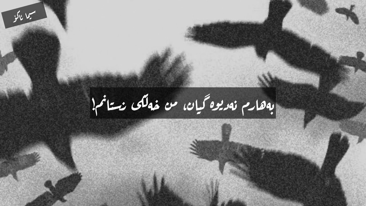Yadeh Shakeri - Nawerm Bangt Kam یەدێ شاکری - ناوێرم بانگت کەم