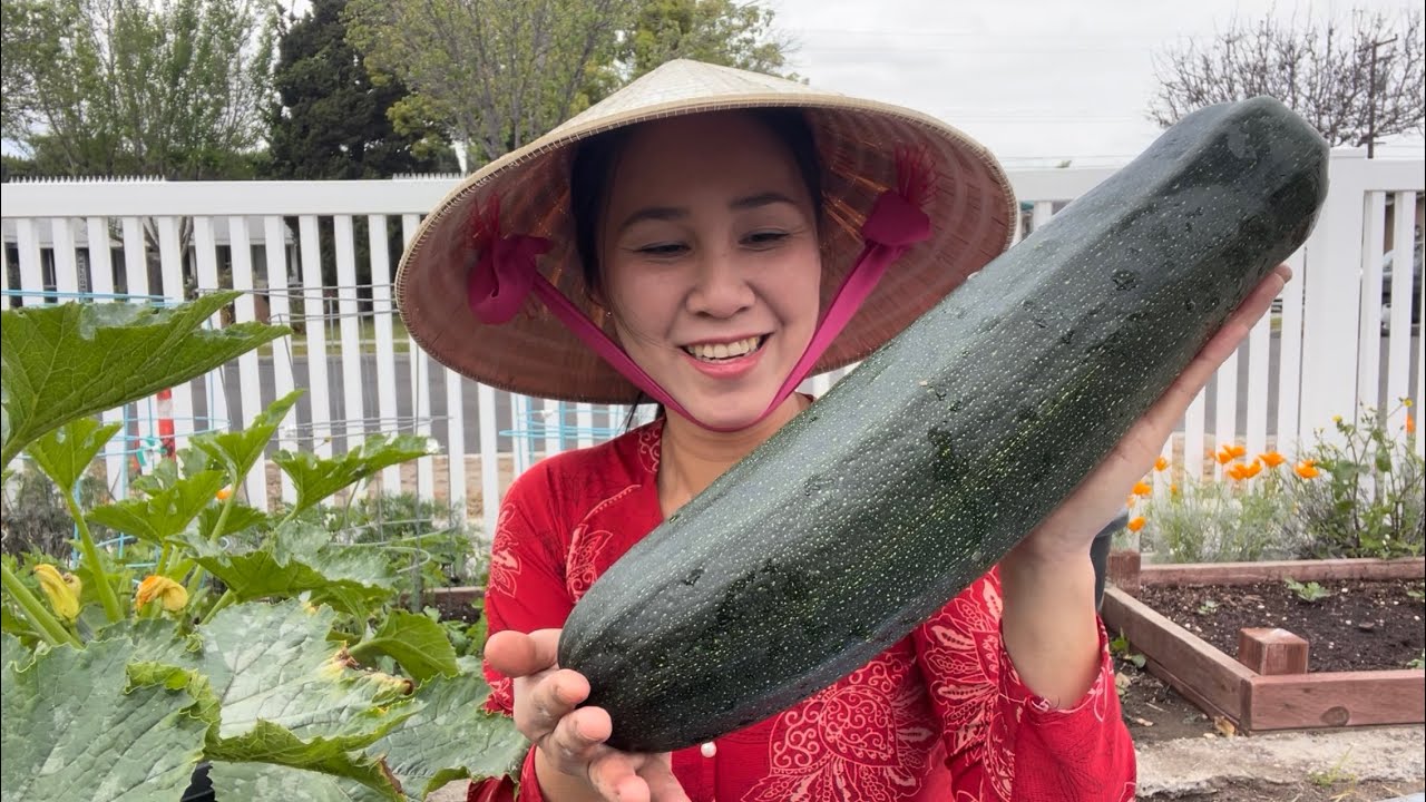Bội Thu Bí Ngòi, Xà Lách, Tần Ô, Dền, Cần Nước Trồng Tại Nhà