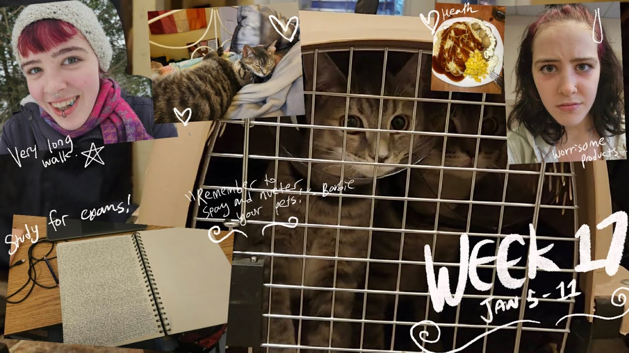 Jan 5 - 11 🐈 🏫 🌞 