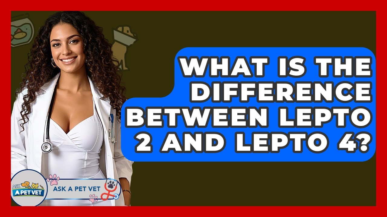 What Is The Difference Between Lepto 2 And Lepto 4? - Ask A Pet Vet