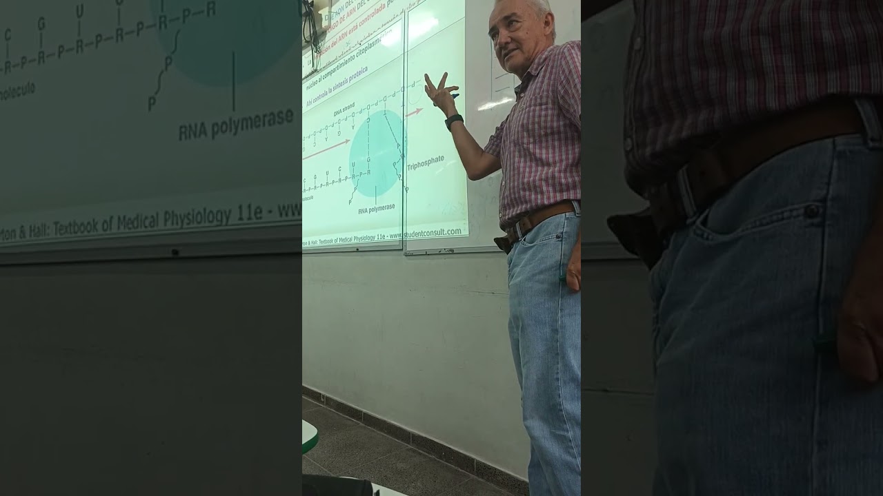 Clase de Fisiológia 3 parte 3