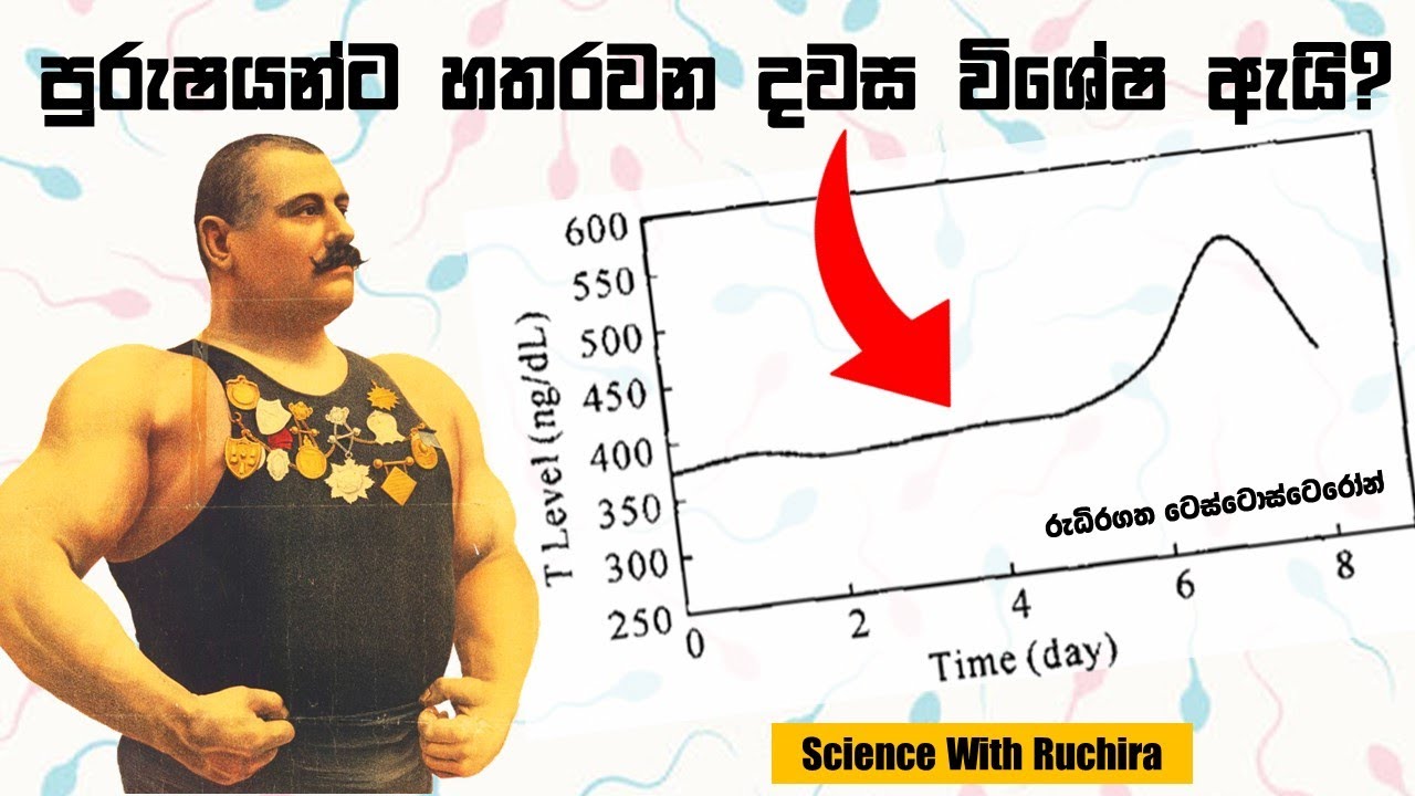 ශුක්‍රානු ධාරණය (Sperm Retention) ජවබල සම්පන්න පිරිමි ජීවිතයකට මගද? (විද්‍යාත්මක දත්ත සහිතව)
