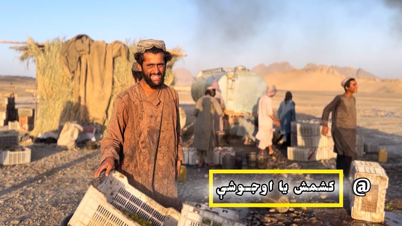 Kandahar || کشمش یا او جوشې || Complete process 