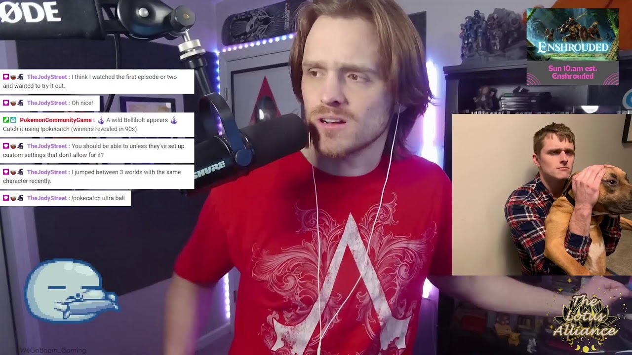 Hollow Knight Continues