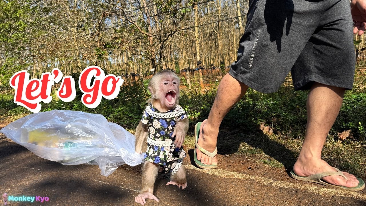Kyo insisted on going with Dad – The ending will surprise you!