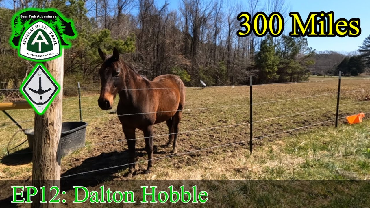EP 12 | Pinhoti - Dalton Hobble | Appalachian Trail 2022 Thru Hike #BamaToBaxter
