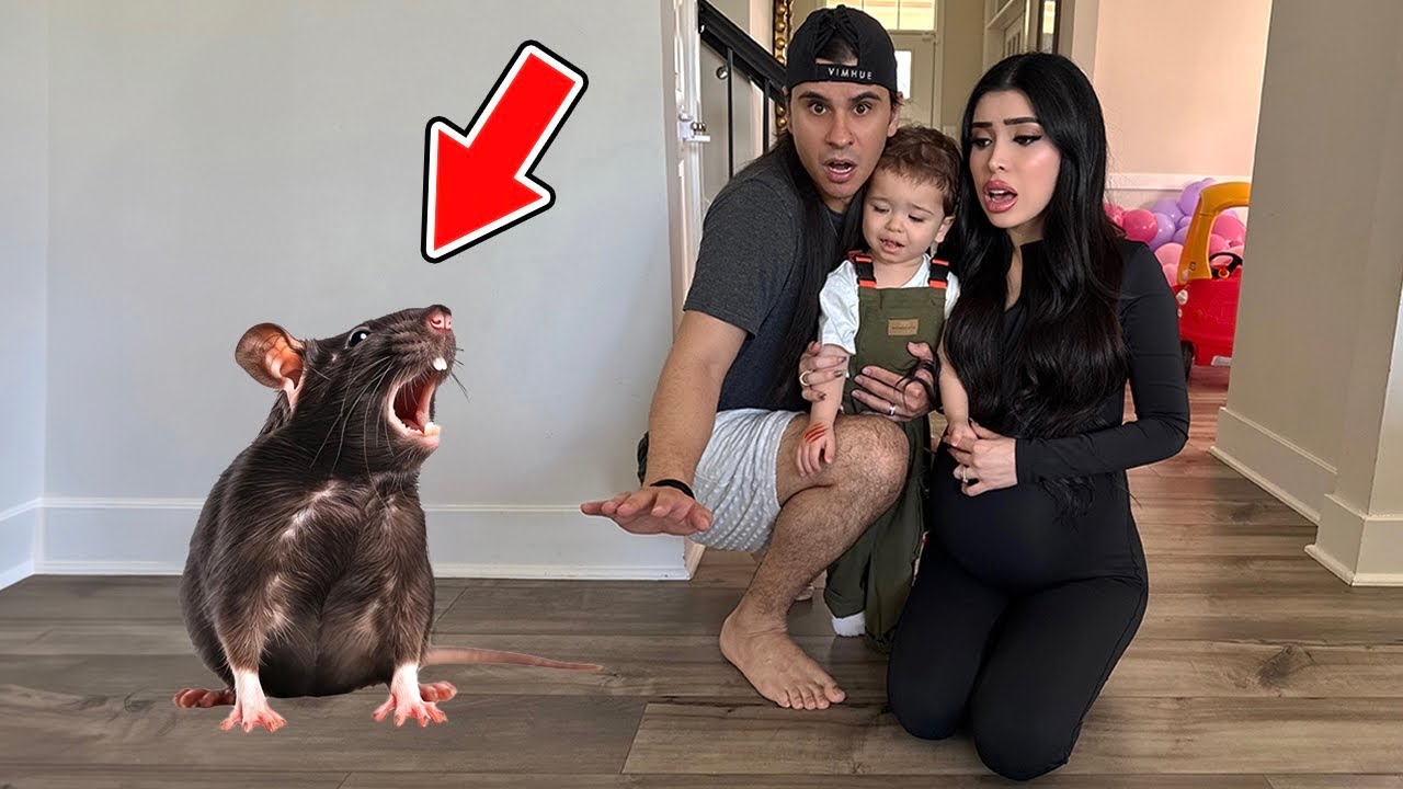 A Rat ATTACKED Our Baby!