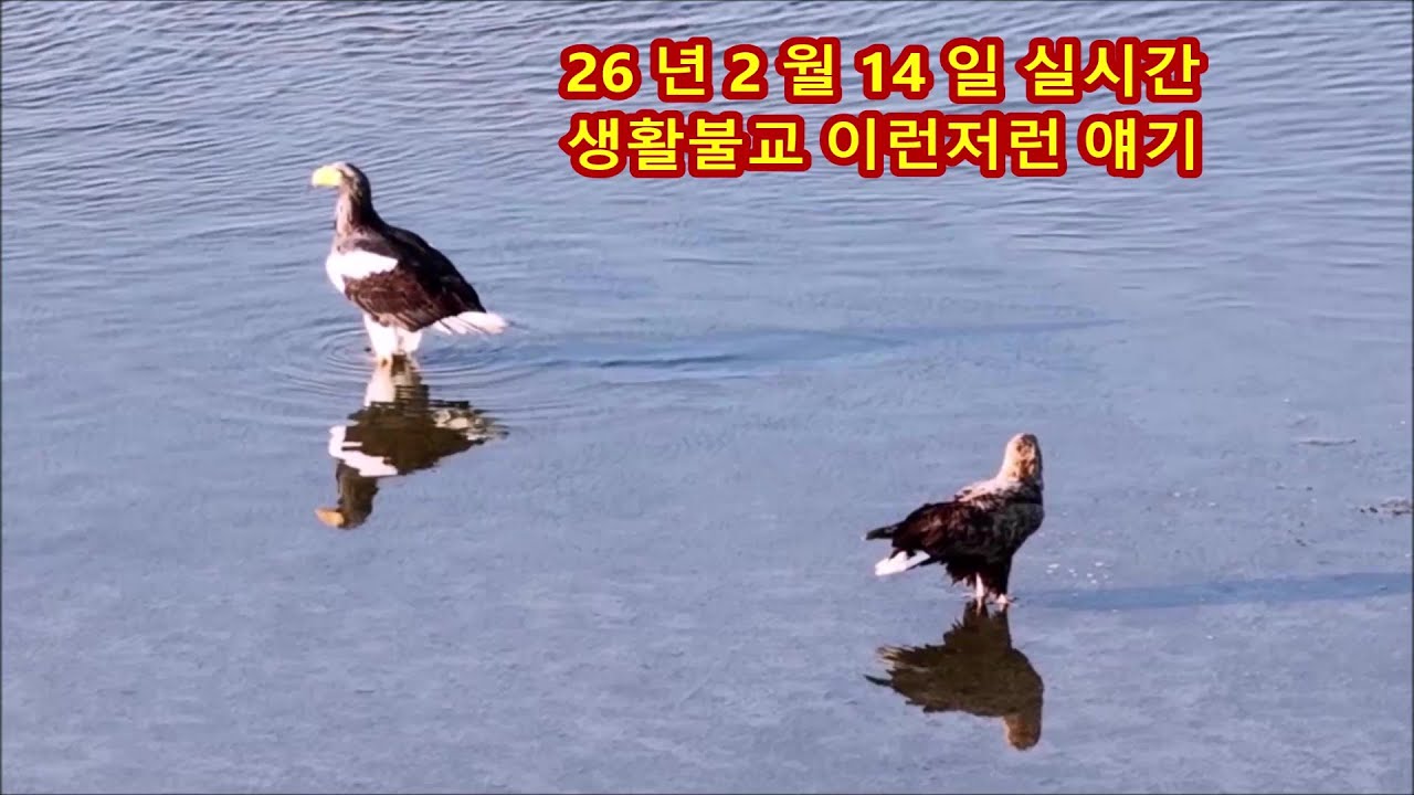 26년2월14일실시간 생활불교 이런저런 얘기 #불교#인과법#십선업#사성제#팔정도#자등명법등명#깨달음