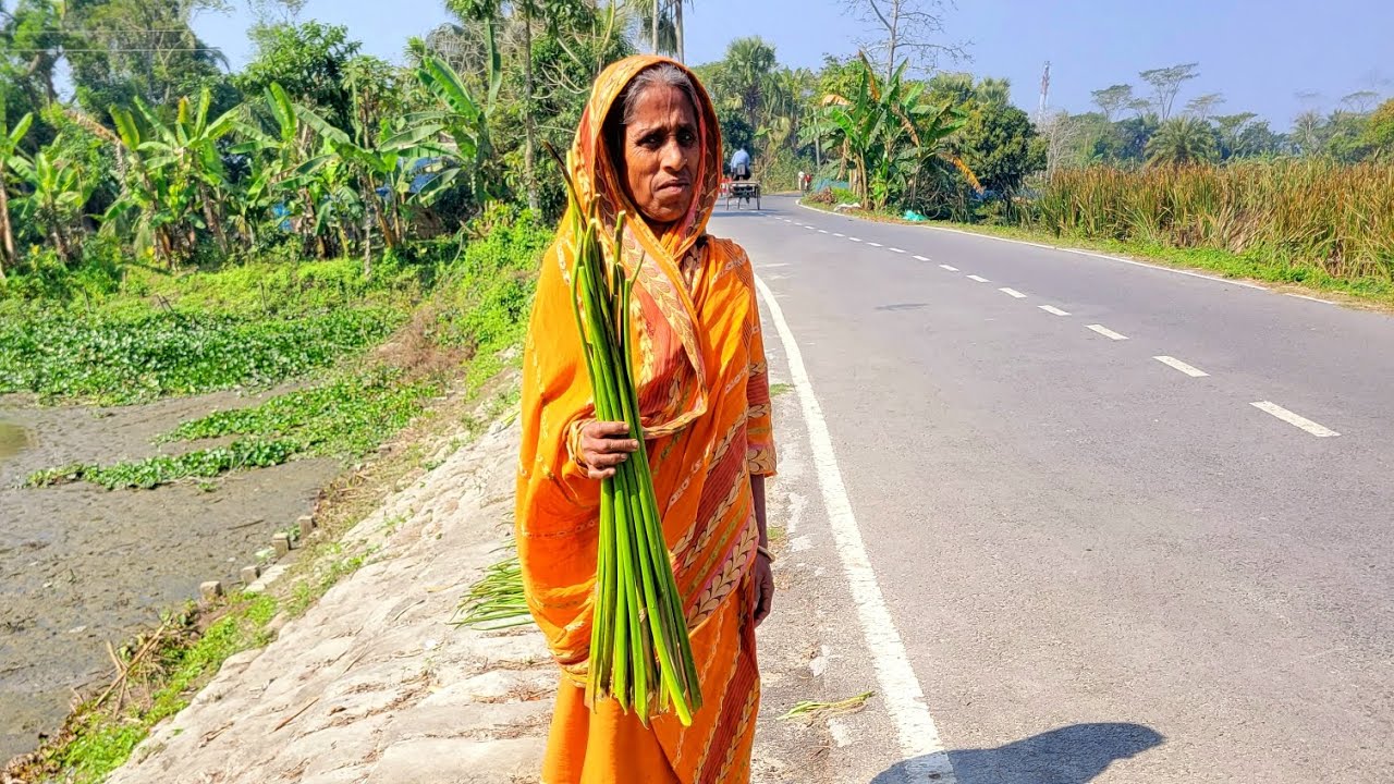 কচুরিপানা বিক্রি করতে হলে যে কাজ গুলো করতে হবে