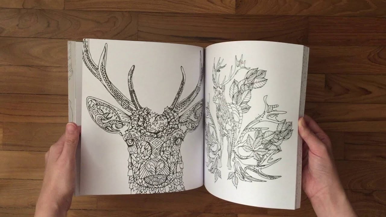 Unwind in the Wilds: Colouring Book by Derwent